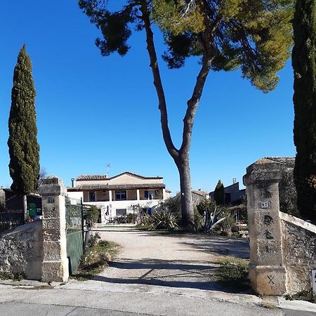 Gites du Mas Gibert à SAUSSINES entre Nimes et Montpellier Extérieur photo