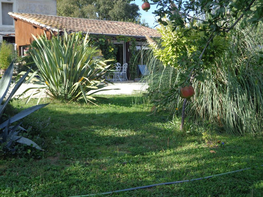 Gites du Mas Gibert à SAUSSINES entre Nimes et Montpellier Extérieur photo
